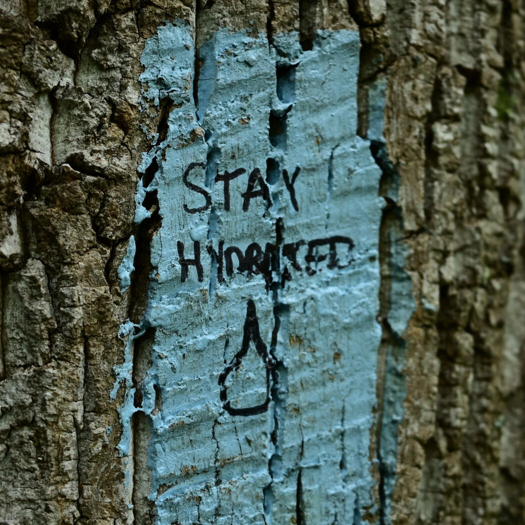 "Stay Hydrated" A light blue trail blaze painted on a tree with "Stay Hydrated" and a water drop drawn on top of the blue in black sharpie